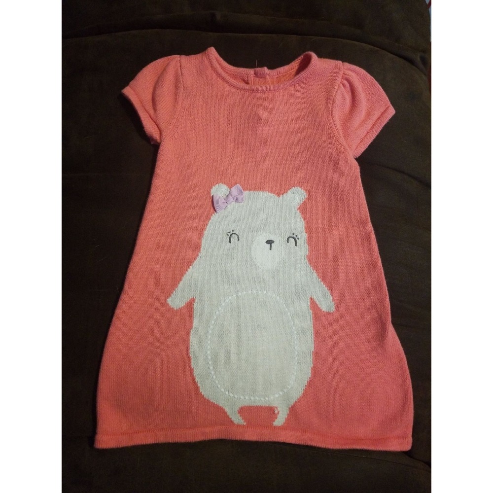 Gymboree woodland wonder bear dress 2t